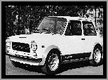 Abarth, Autobianchi A112, Tuning