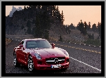 Mercedes-Benz SLS AMG, 2010