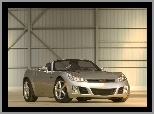 Saturn Sky, Srebrny, Metalik